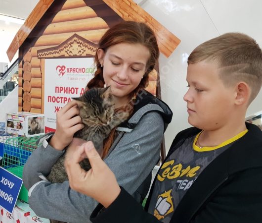 Выставка в ТЦ OZ Молл 21-22 сентября.